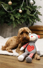 Load image into Gallery viewer, Festive Teddy Christmas 2023 Dog Toy 40 x 16cm
