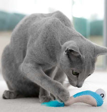 Load image into Gallery viewer, NEW! Catstages Dental Shrimpies (2pk) 15.24cm (including feather tail)
