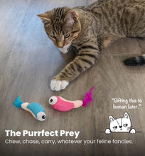 Load image into Gallery viewer, NEW! Catstages Dental Shrimpies (2pk) 15.24cm (including feather tail)
