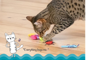 NEW! Catstages Cute as a Bug Plush Cat Toys 6pk - 6cm