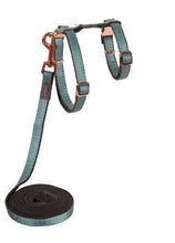 Load image into Gallery viewer, ROGZ Cat H-Harness and Lead Combination UrbanCat - Small
