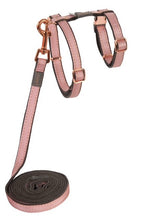 Load image into Gallery viewer, ROGZ Cat H-Harness and Lead Combination UrbanCat - Small
