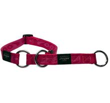 Load image into Gallery viewer, Rogz Alpinist Web Half-Check Dog Collar
