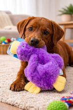 Load image into Gallery viewer, Best Pet Duck Dog Toys - 3 Colours available - 36cm
