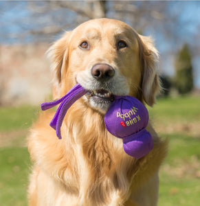 Kong Wubba Dog Toy - Small, Large, X-Large