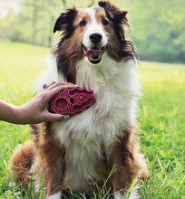 Load image into Gallery viewer, ZOOM GROOM Kong Grooming Tool - Brush  (7.25cm x 12cm)

