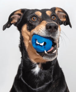Rogz Fred Treat Toy - One Size Medium