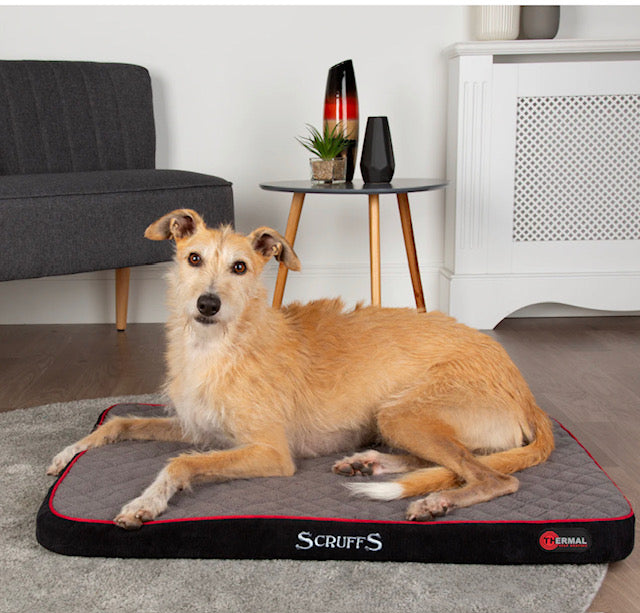 The Scruffs Thermal Self Heating Pet Mattress