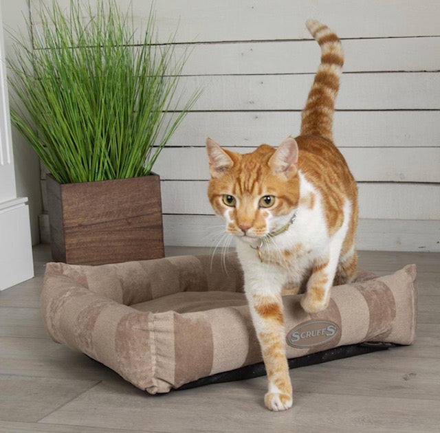 Scruffs AristoCat Lounger Cat Bed (or a bed for a small dog) - Tan