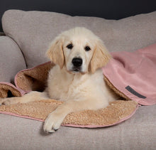 Load image into Gallery viewer, SCRUFFS Snuggle Pet Blanket 100cm x 75cm
