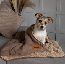 Load image into Gallery viewer, SCRUFFS Snuggle Pet Blanket 100cm x 75cm
