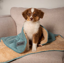 Load image into Gallery viewer, SCRUFFS Snuggle Pet Blanket 100cm x 75cm
