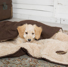 Load image into Gallery viewer, SCRUFFS Snuggle Pet Blanket 100cm x 75cm
