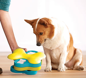 Nina Ottosson Dog Tornado Toy (Level 2 Challenge)