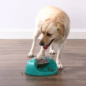 Nina Ottosson Dog Spin Eat Puzzle  (Level 2 Challenge)