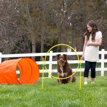 Load image into Gallery viewer, Zipzoom Outdoor Agility Kit
