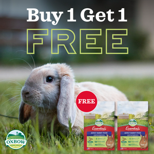 Oxbow Essentials Adult Rabbit Food - 2.25kg
