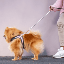 Load image into Gallery viewer, ROGZ Urban Classic Lead - Small &amp; Medium - 1.8m

