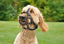 Load image into Gallery viewer, Basket Soft Muzzle Rosewood - Sizes 1 to 5
