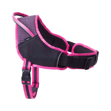 Load image into Gallery viewer, ROGZ Airtech Sport Harness - Small to X-Large
