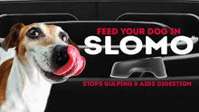 Load image into Gallery viewer, Slomo Slow Feeding Dog Bowl - 950ml capacity
