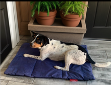 Load image into Gallery viewer, Wagworld K9 Quilt Dog Bed/Mat (ETA 10-14 working days)
