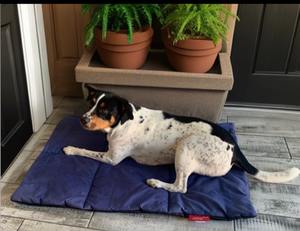 Wagworld K9 Quilt Dog Bed/Mat (ETA 10-14 working days)