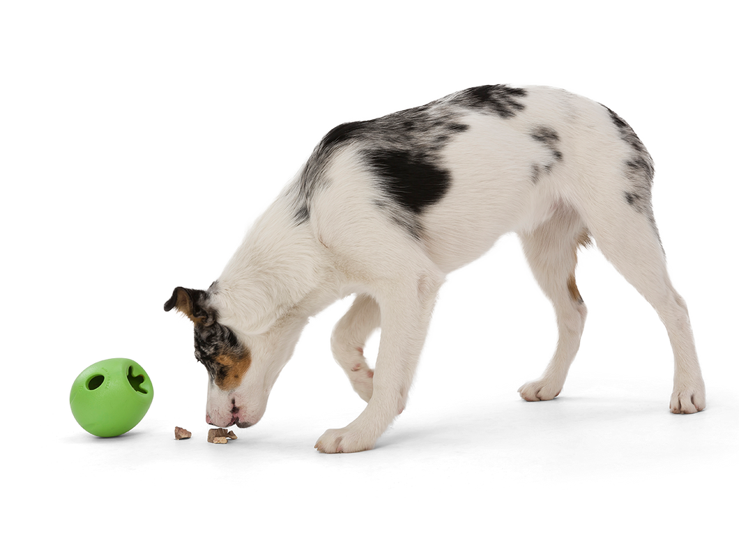 West Paw Zogoflex Echo - Original, Tough Toys:  Rumbl Puzzle Treat Toy