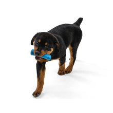 Load image into Gallery viewer, West Paw Zogoflex - Original, Tough Toys: Drifty
