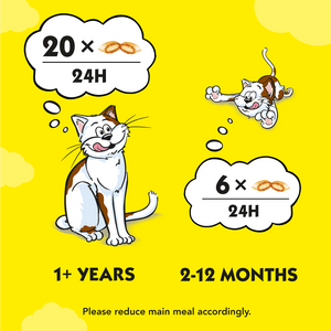 Dreamies Cat Treats - 60g Single Packet or Box of 6