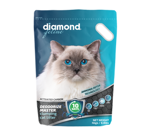 Back in South Africa!  Diamond Feline Litter