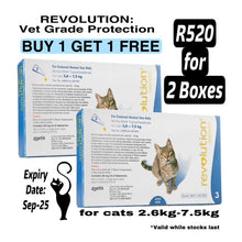 Load image into Gallery viewer, Revolution for Cats - Tick &amp; Flea Spot On Treatment  - Pack of 3 pips
