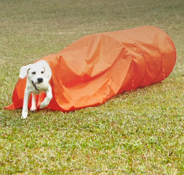 Zipzoom Closed Agility Tunnel - Outward Hound