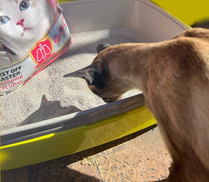 Diamond Feline Litter - Low Stock!