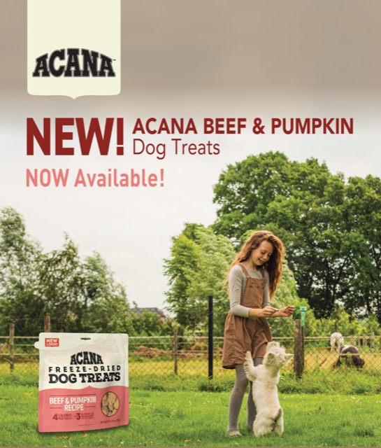 ACANA TREATS: Beef & Pumpkin Freeze-Dried Dog Treats