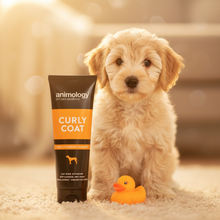 Load image into Gallery viewer, Animology Curly Coat Dog Shampoo with fluffy curly-haired labradoodle on warm golden background
