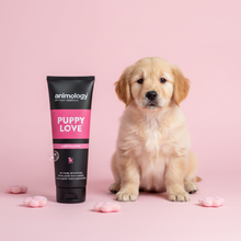 Load image into Gallery viewer, Animology Puppy Love Shampoo with fluffy golden retriever puppy on pastel pink background

