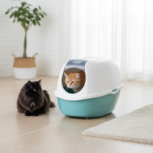 Load image into Gallery viewer, Moderna Cat Toilet Smart lifestyle image with two cats
