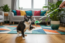 Load image into Gallery viewer, Tuxedo Devon Rex kitten with green eyes playing with AFP Natural Instinct Dragon Fly Wand interactive cat toy 
