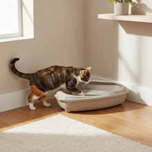 Load image into Gallery viewer, Moderna Corner Cat Litter Tray Lifestyle
