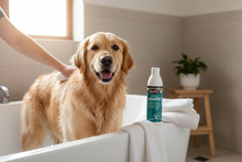 Load image into Gallery viewer, RICKY Litchfield Dog Herbal Shampoo - 250ml or 1L
