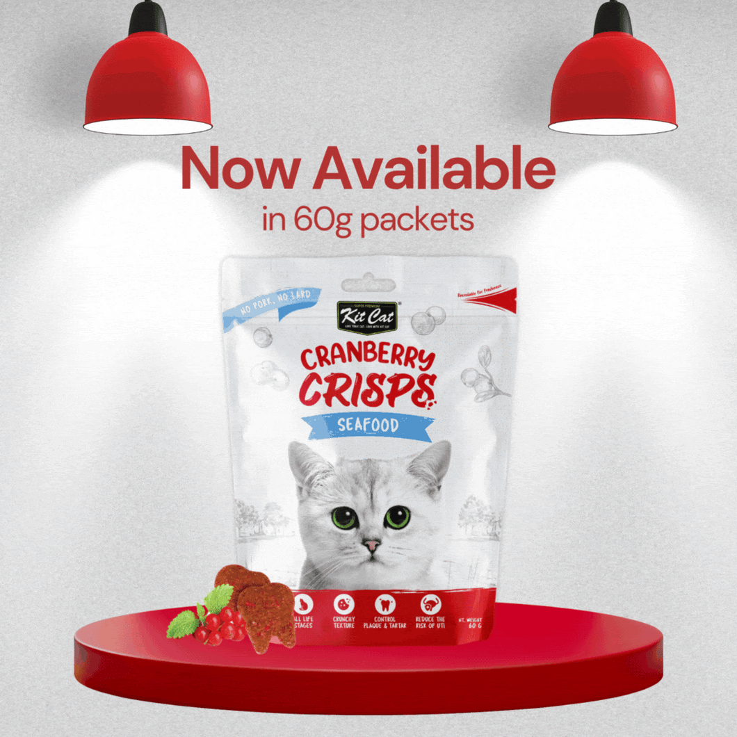 Kit Cat Cranberry Crisps (60g) - 6 Flavours