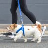 Load image into Gallery viewer, ROGZ Utility Fast Fit Harness - Step-In Design
