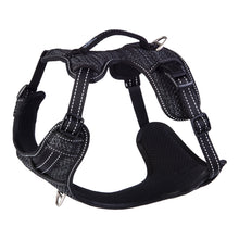 Load image into Gallery viewer, ROGZ Explore Harness - Two Point Steering
