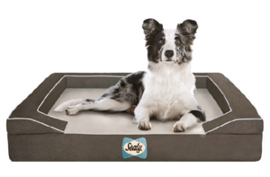 SEALY Lux Orthopedic Dog Bed