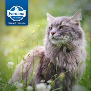 FARMINA N&D PRIME GRAIN-FREE: Adult Cat Food for All Breeds Chicken & Pomegranate Recipe