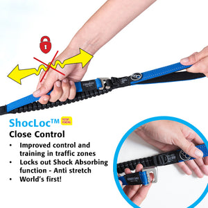 ROGZ Control Lead - Shock Absorbing Bungee Dog Lead