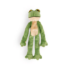 Load image into Gallery viewer, All For Paws Dog Toy Woodland Classic Flora Frog (41cm)
