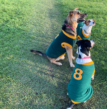 Load image into Gallery viewer, Sporty Dog Jersey Green &amp; Gold
