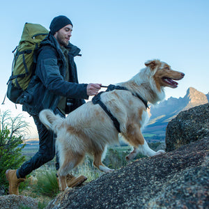 ROGZ Explore Harness - Two Point Steering